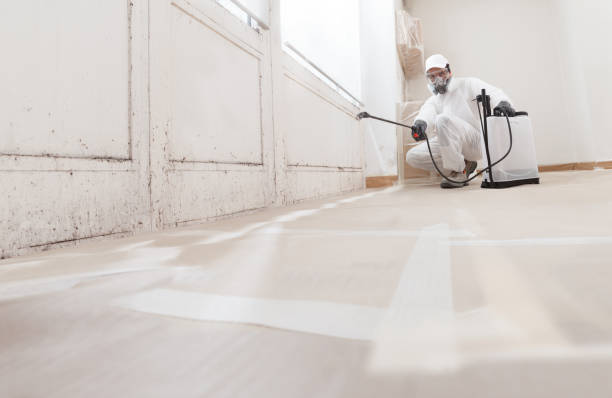 24/7 Emergency Black Mold Removal experts in Ashton, MD